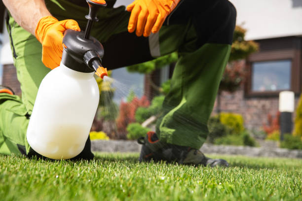 Best Insect Control  in Mancelona, MI