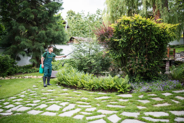 Best Best Pest Control Companies  in Mancelona, MI