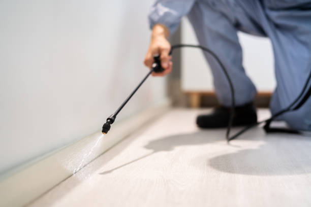 Pest Control Cost in Mancelona, MI