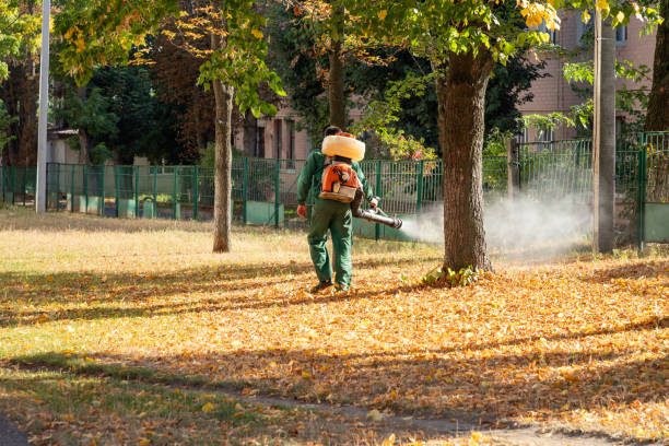  Mancelona, MI Pest Control Pros
